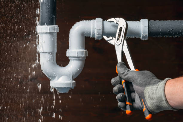 Professional Plumbing technician working in USA